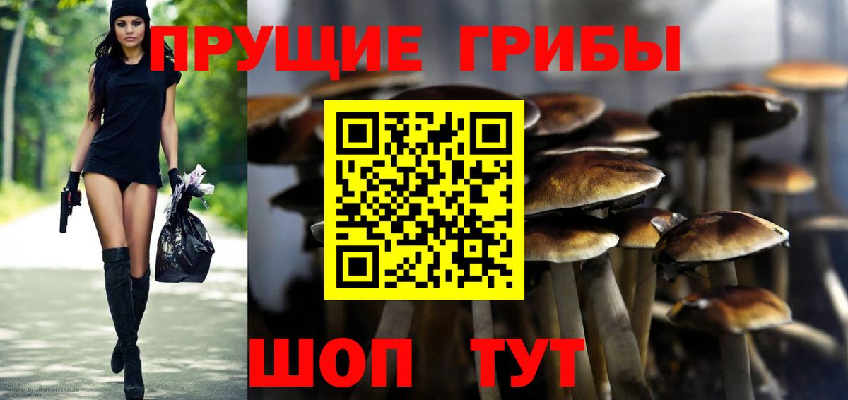 Псилоцибиновые грибы ЛСД Кыштым